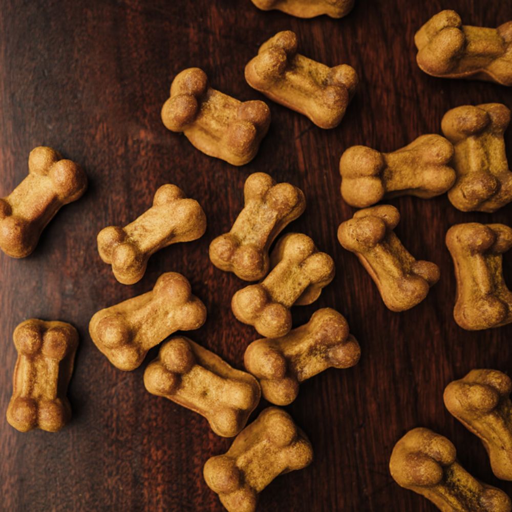 Pumpkin Peanut Butter CBD Dog Treats (3 Dozen)