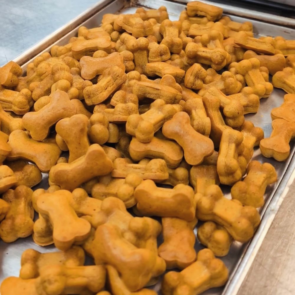 Pumpkin Peanut Butter CBD Dog Treats (3 Dozen)