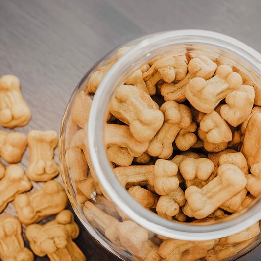 9 Dozen CBD Treats Jar